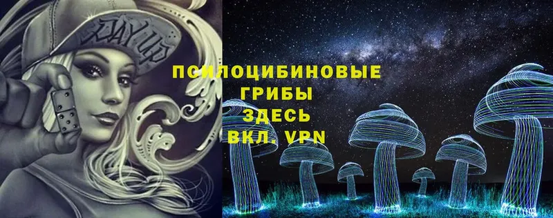 omg зеркало  Старый Оскол  Галлюциногенные грибы Cubensis 